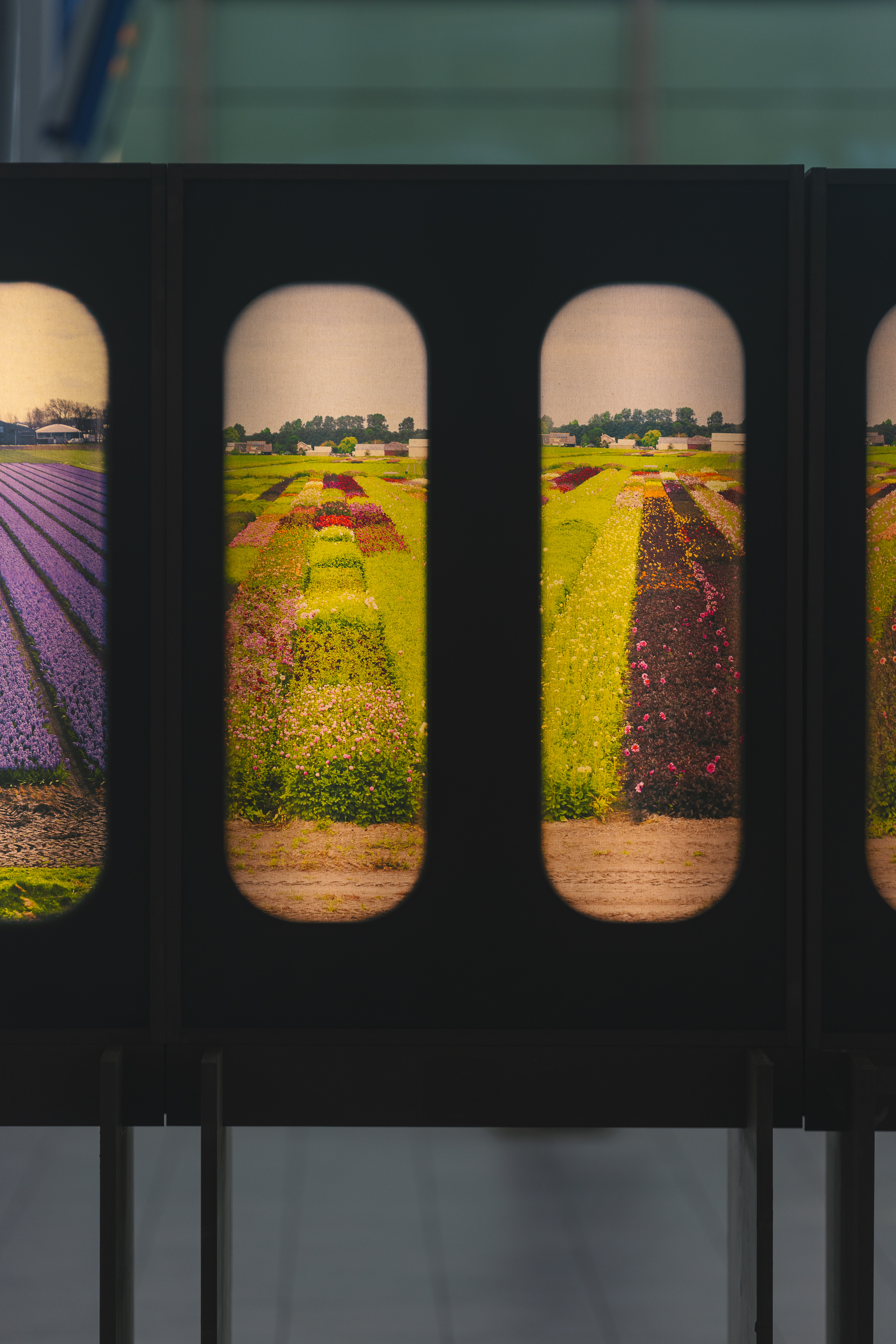 Field of View Detail