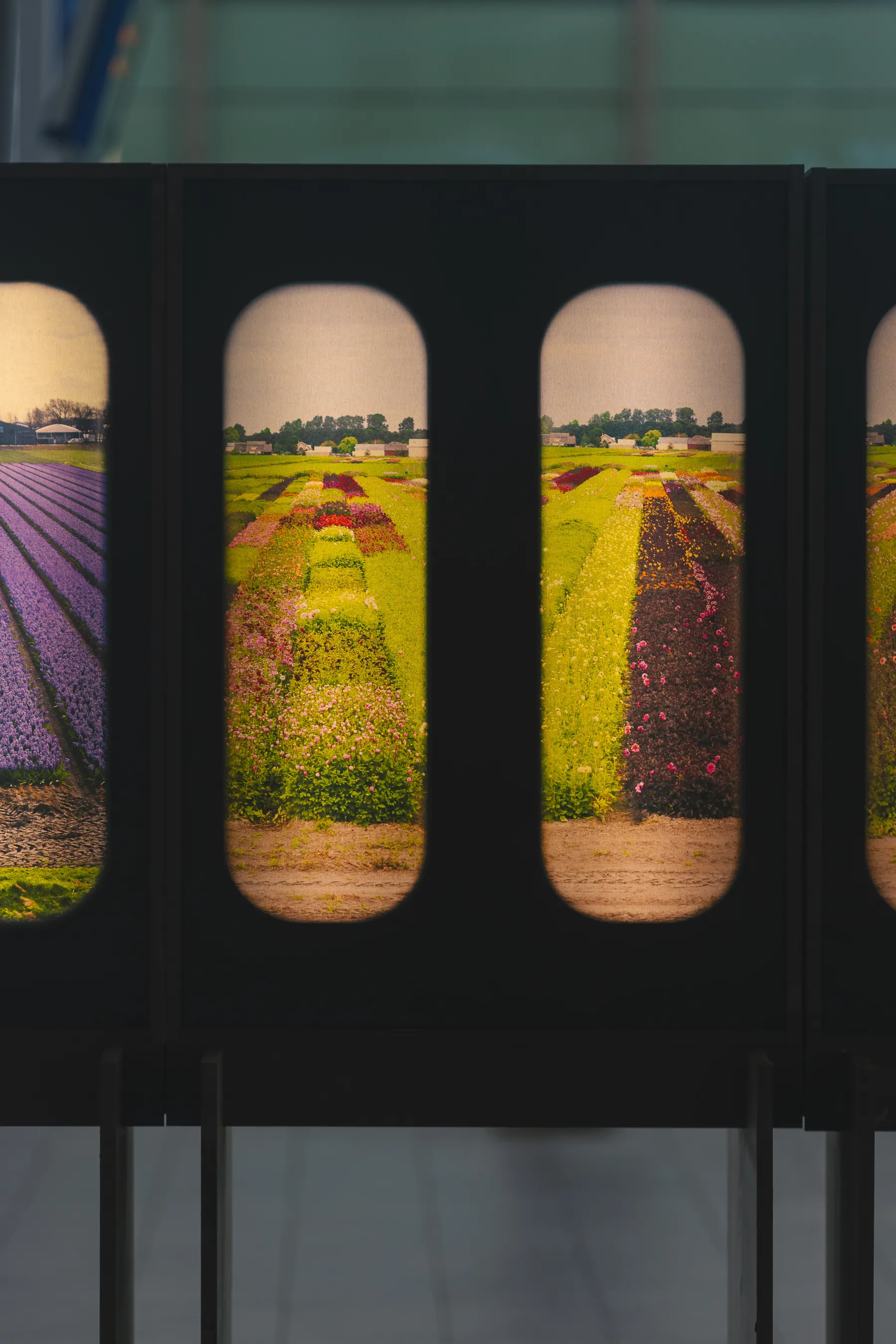 field-of-view
